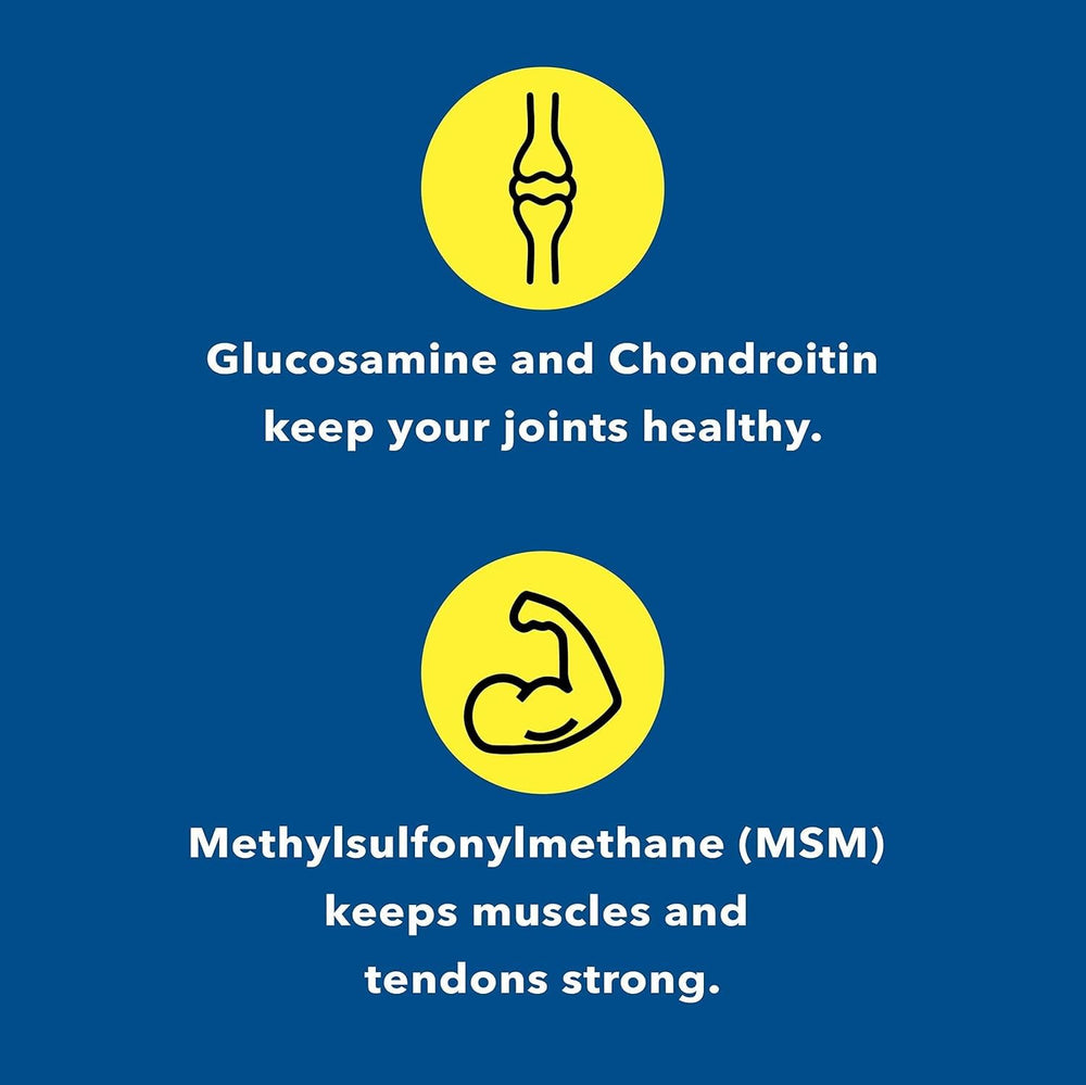Chondroitin and MSM ingredients for joint health