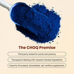 CHOQ Chad Mode ingredients showcase L-Citrulline and Beta-Alanine supporting endurance and focus.