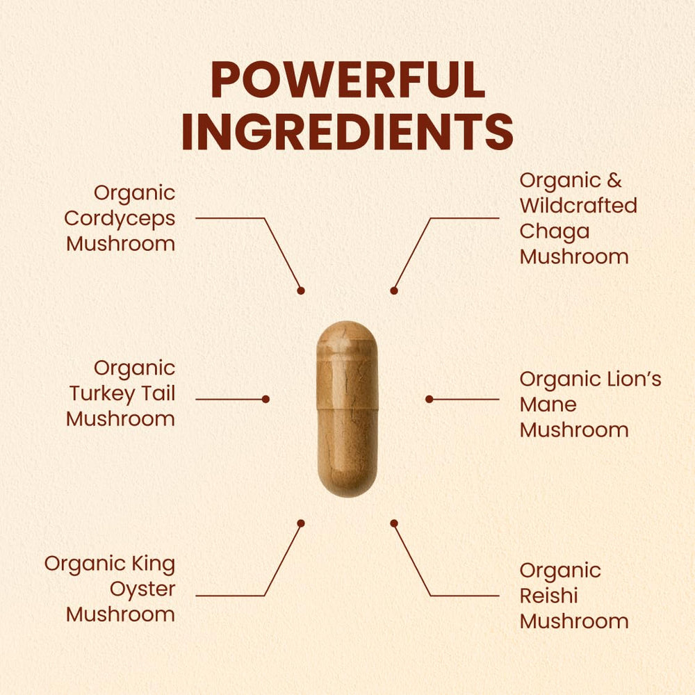 Assorted organic mushrooms used in CHOQ blend
