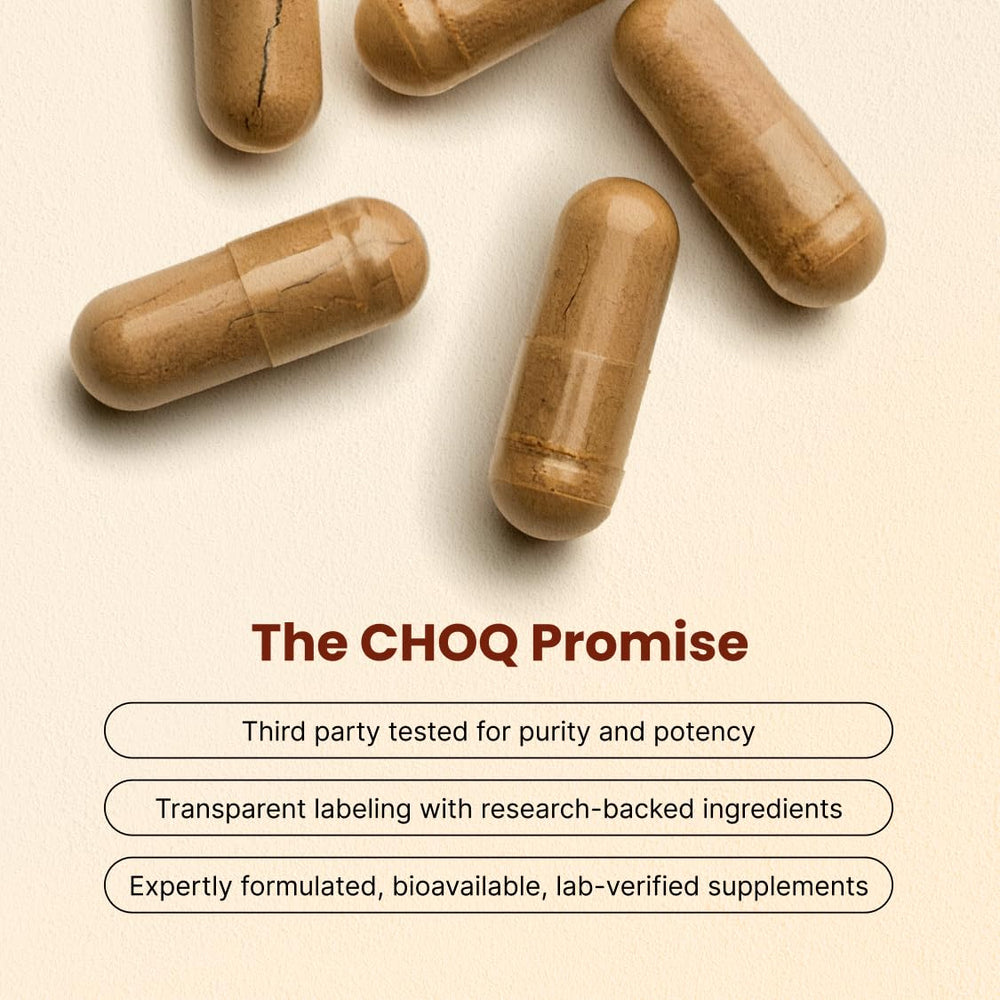 Chaga mushroom close-up for CHOQ supplement