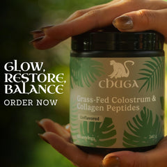 Lifestyle shot: smoothie prepared with Chuga powder