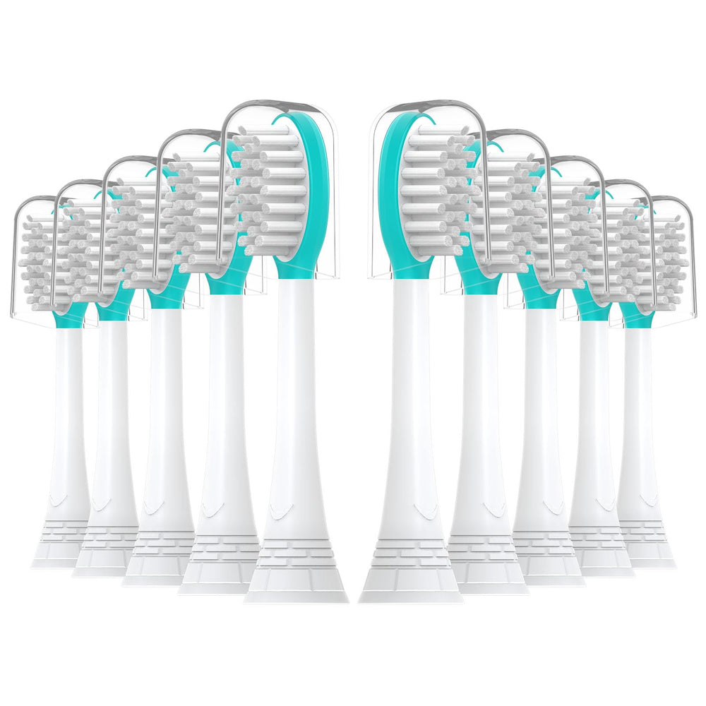 Box of 10 replacement heads suitable for travel and storage