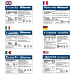Healthy circulation illustration showing veins, capillaries and lymphatics