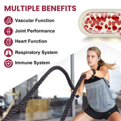 Supports circulatory and vascular function