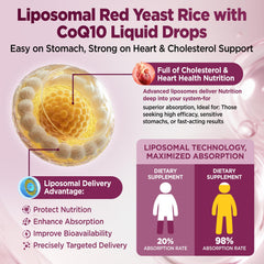 Illustration of citrus bergamot and CoQ10 ingredients