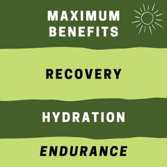 Diagram showing 2:1:1 BCAA ratio