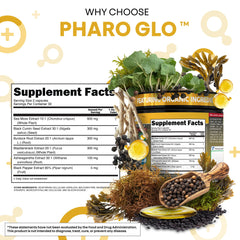Bladderwrack seaweed and organic sea moss ingredients