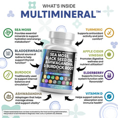 Clean Nutraceuticals Ashwagandha extract capsules for calm focus