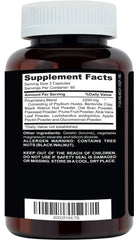 Digestive system showing improved gut balance