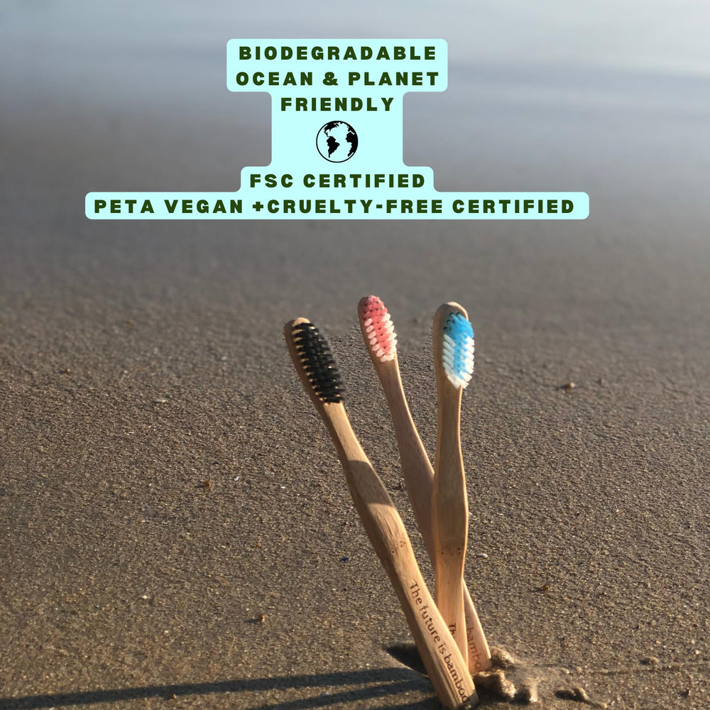 FSC-certified bamboo handle of Cloud Brush