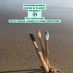 FSC-certified bamboo handle of Cloud Brush