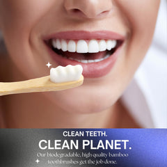 Eco-friendly packaging of Cloud Brush pack of 6 toothbrushes