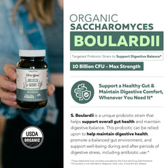 CNCM I-1079 Saccharomyces boulardii strain illustration