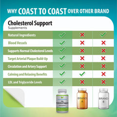 Aloe Ferox, Hyssop, and Chlorella imagery