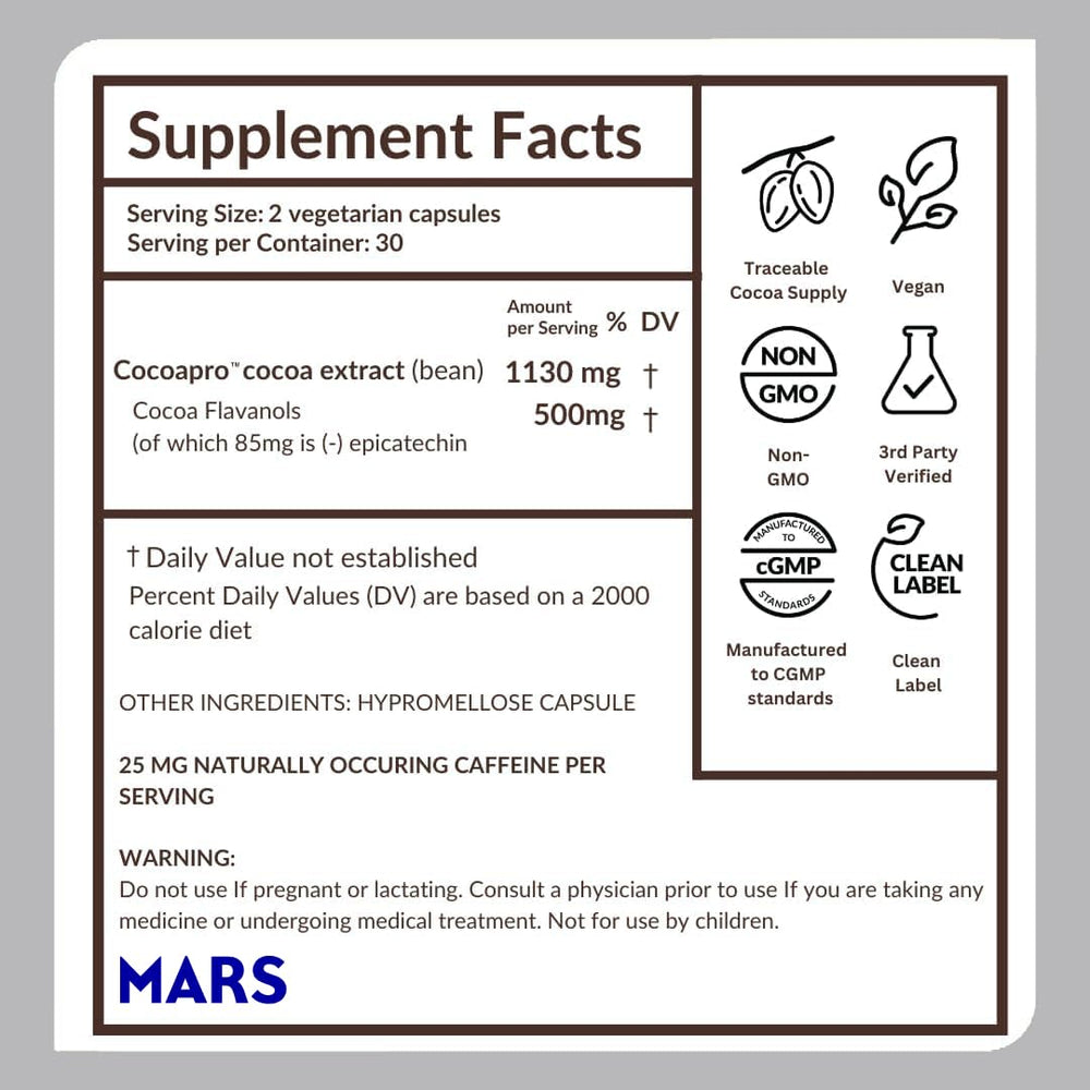 Dark chocolate flavored vegan supplement visuals