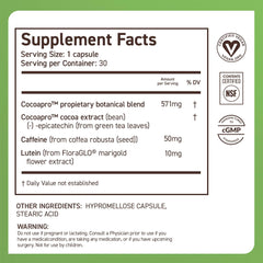 Lifestyle image depicting focus and memory with CocoaVia Memory & Focus