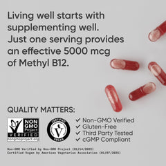 Illustration of coconut MCT oil used with B12 capsules