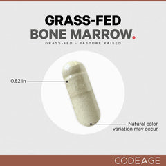 Whole bone extracts visualization