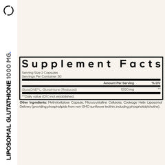 Illustration showing liposomal absorption delivery