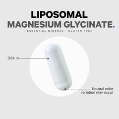 Diagram of phospholipid liposomal delivery system