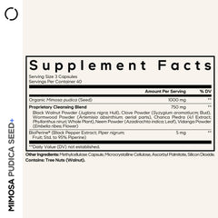 Organic Mimosa Pudica seeds close-up