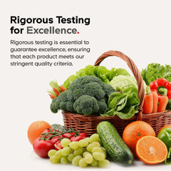 Liposomal turmeric delivery technology