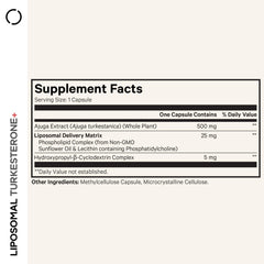 Hydroxypropyl-beta-cyclodextrin complex illustration for Turkesterone formula