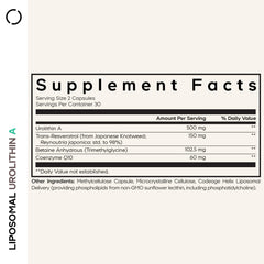 Urolithin A, resveratrol, betaine, and CoQ10 ingredients
