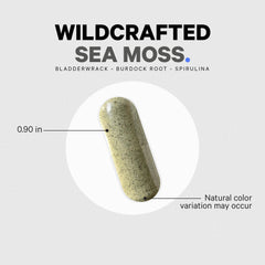 Wildcrafted seaweed blend image