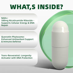 Cognitive clarity support from NAD+ and antioxidants.