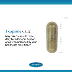 Brain health and focus illustration