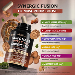 Memory and focus concept with mushroom supplement imagery