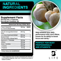 Cognitive wellness boost with nootropic mushrooms