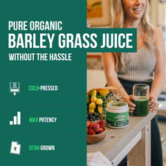 Cold-pressed barley grass juice powder