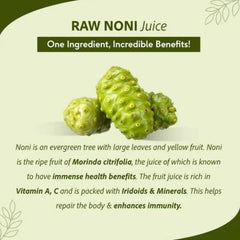 Cold-pressed processing illustration of Noni juice