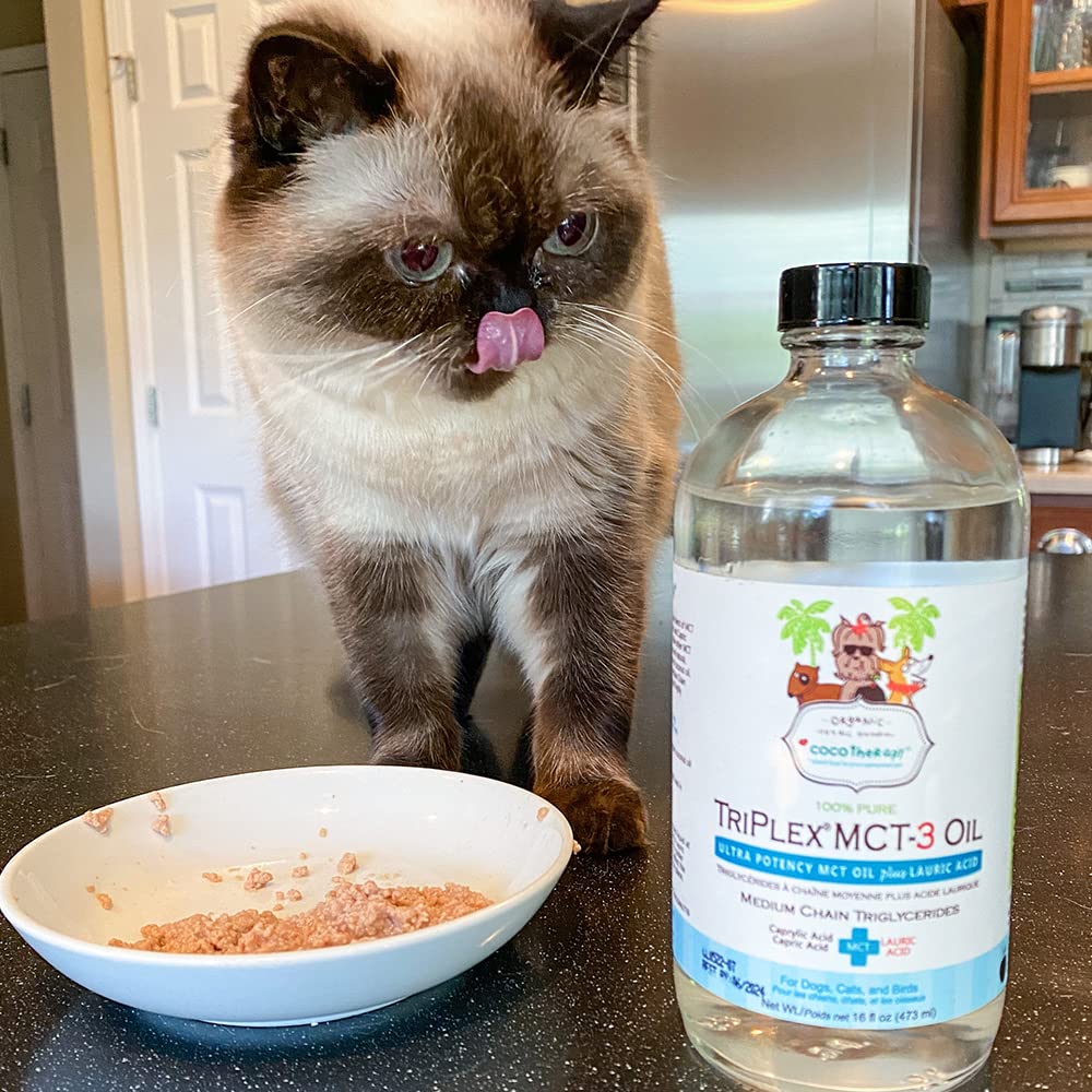 Cold-pressed organic coconut oil processing