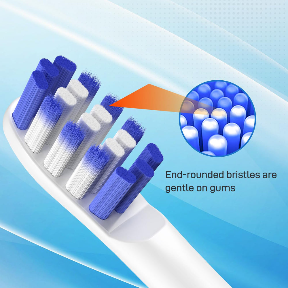 Standard size replacement brush head for adults