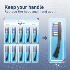 Economical replacement heads with the same brushing experience as name-brand