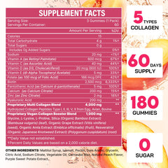 Diagram of hydrolyzed collagen peptides Types I, II, III, V, X