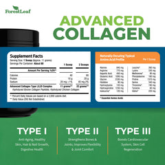 Label highlighting Type 1, 2, and 3 collagen types