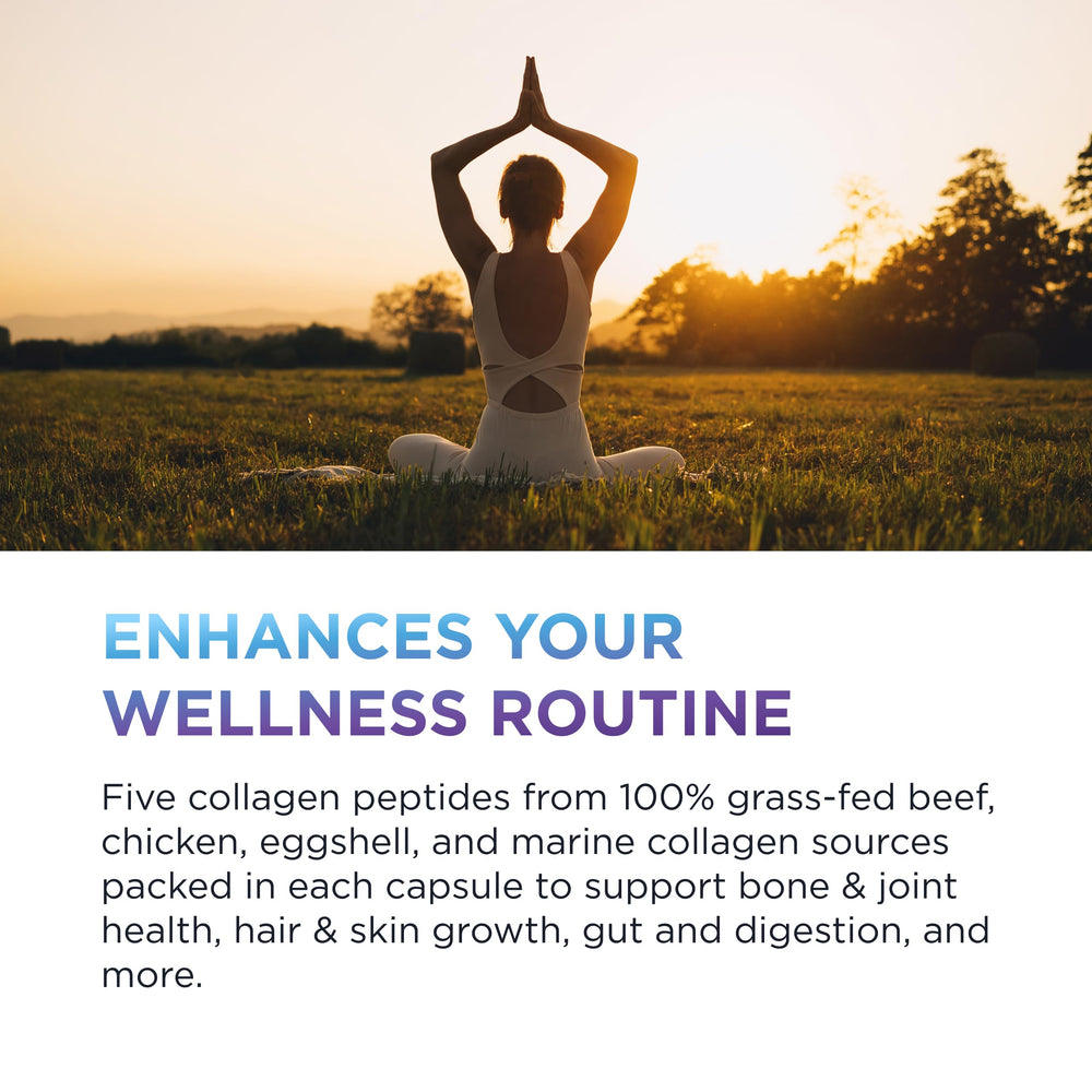 Graphic of collagen sources: grass-fed bovine, chicken, eggshell, and marine