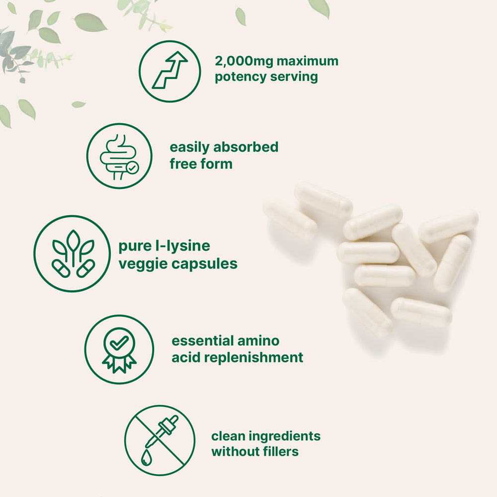 L-Lysine supporting collagen production
