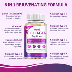 Collagen types I, II, III, V and X overview