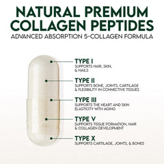 Close-up of hydrolyzed collagen peptides capsules