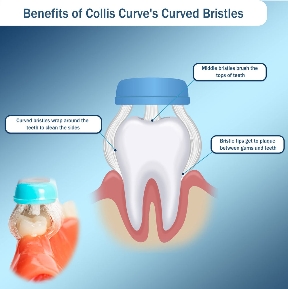 Soft bristles gentle on sensitive gums