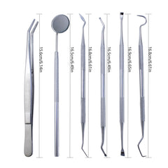 Travel case for the dental cleaning kit