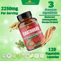 Usage guide for Cona Nature Shatavari capsules