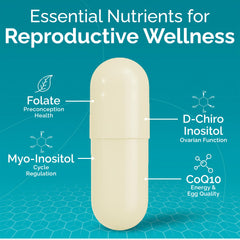 Folate and Ginger for reproductive health