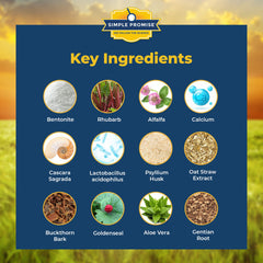 Goldenseal herb for digestive health