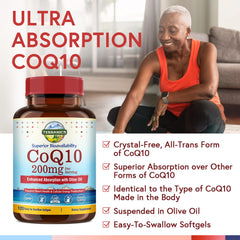 Antioxidant support from CoQ10 and olive oil